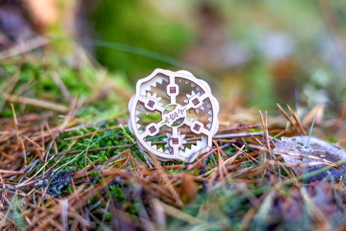 Puidust Krõbisev Ähmiketas, fidget spinner, metsas, sambla peal - käsitöö, ATH ADHD ärevuse ja stressi leevendamiseks