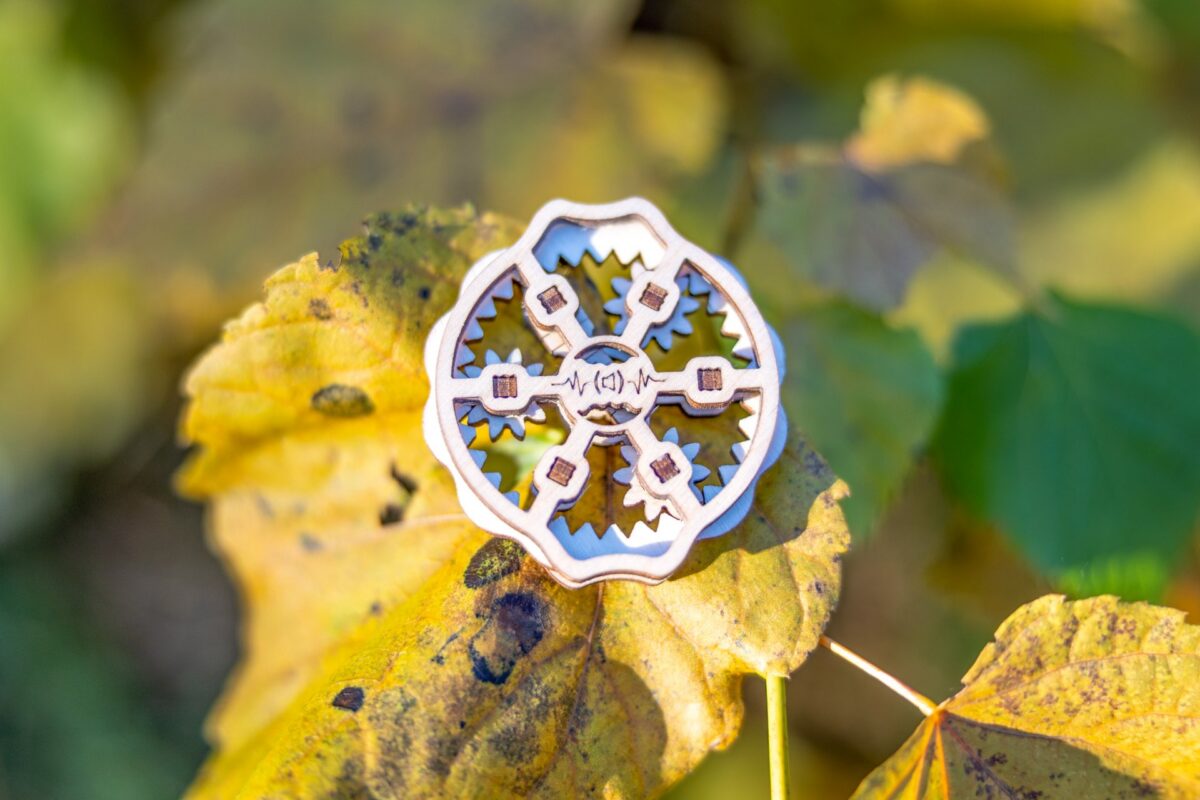 Puidust Krõbisev Ähmiketas, fidget spinner, metsas, lehe peal - käsitöö, ATH ADHD ärevuse ja stressi leevendamiseks