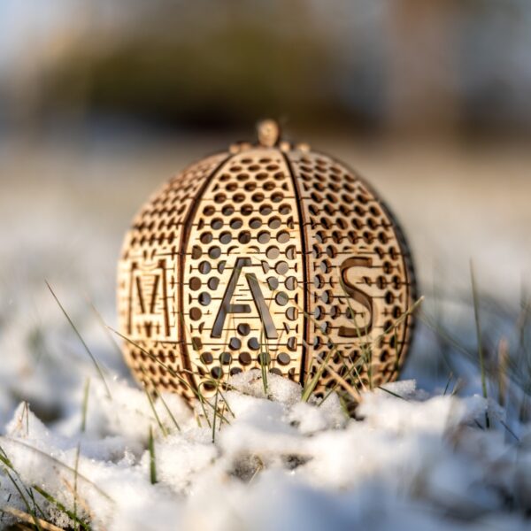 Puidust paanidega jõuehe - käsitöö